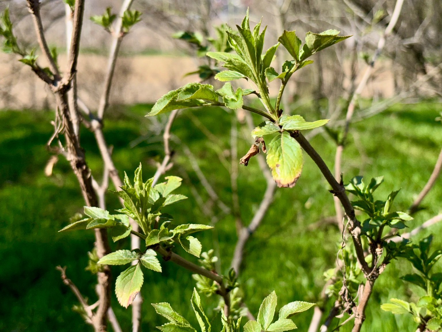 Hrnčiarovce nad Parnou