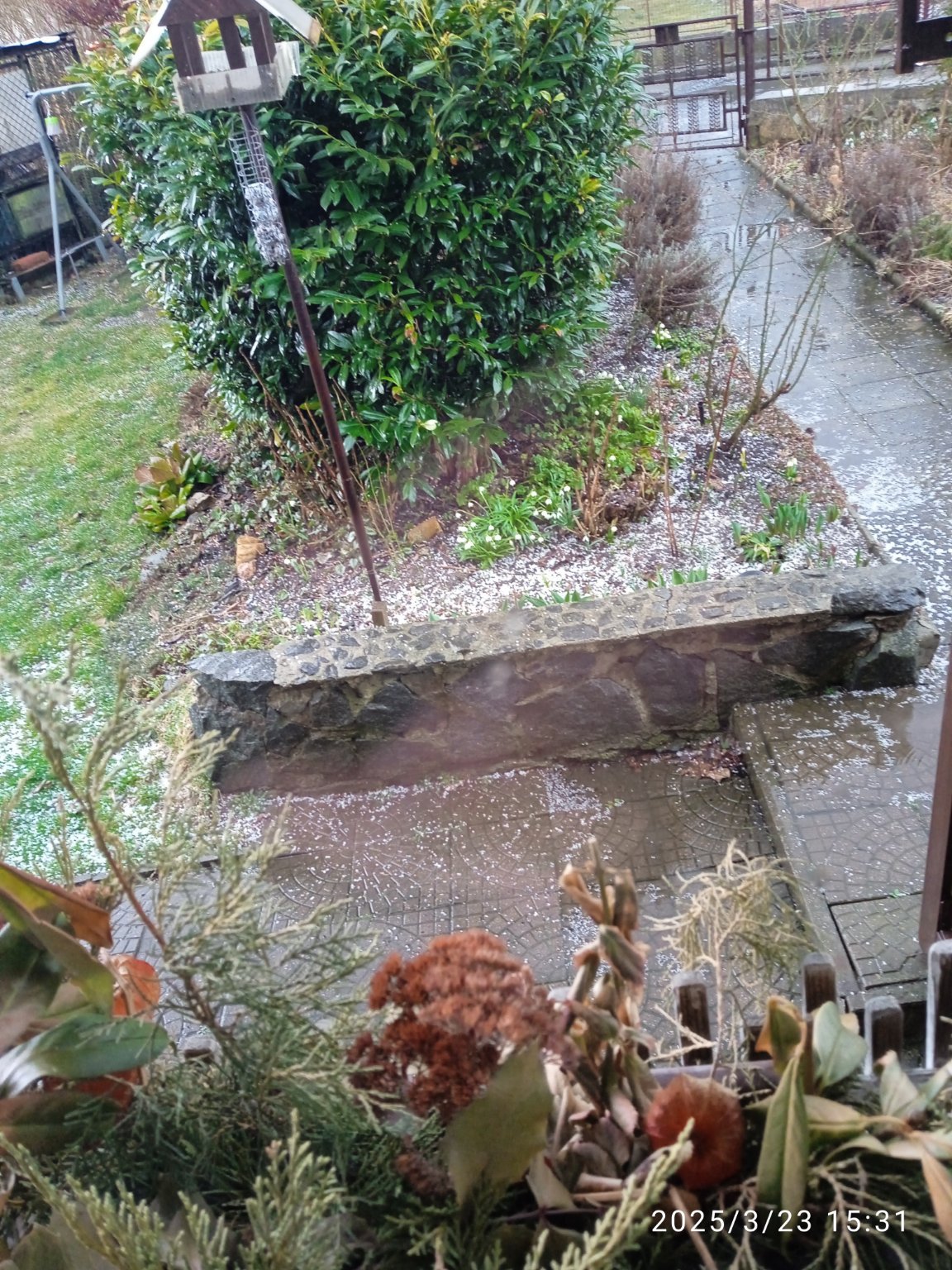 Olešnice na Moravě