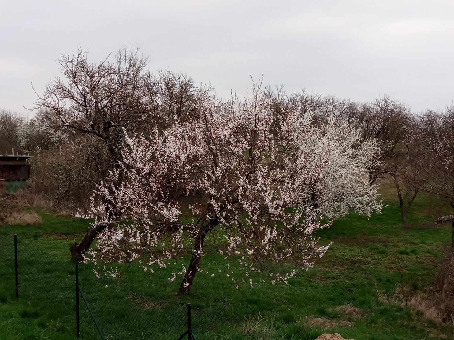 Hrušovany nad Jevišovkou