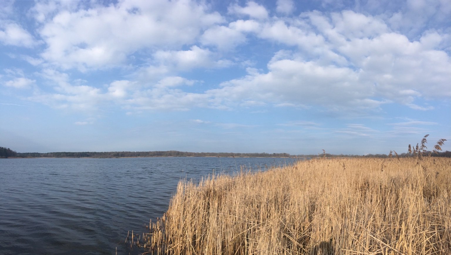 Lomnice nad Lužnicí