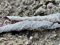 Hrnčiarovce nad Parnou