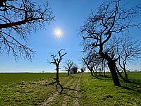 Hrnčiarovce nad Parnou