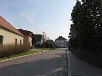 Třibřichy