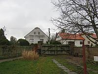 Třibřichy