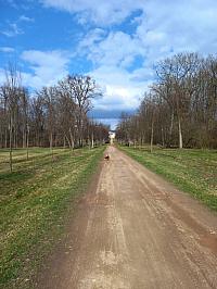 Svatý Mikuláš