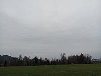 Kopřivnice, Vlčovice