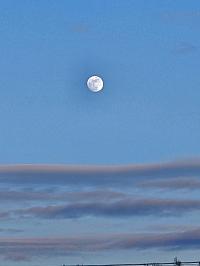 Štikov u Nové Paky