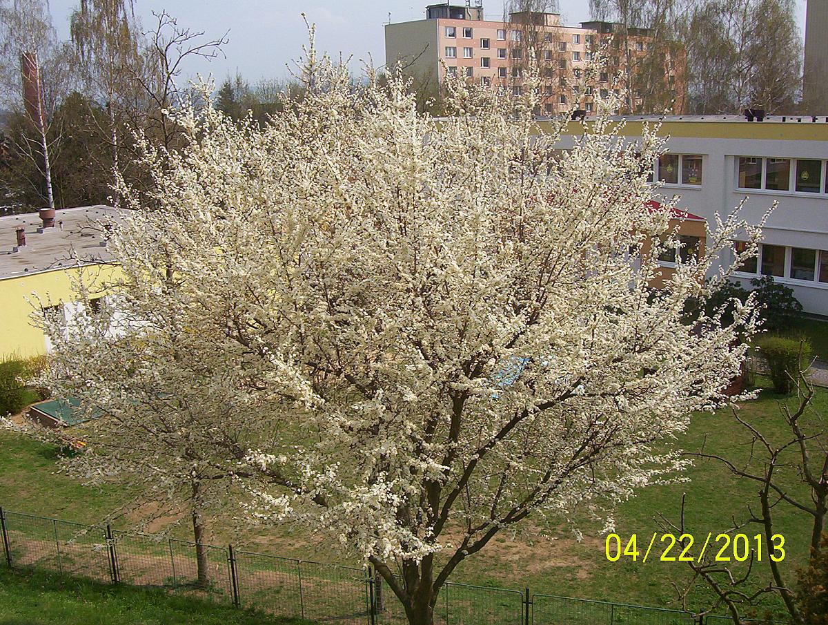 Sedlčany(okr.Příbram)