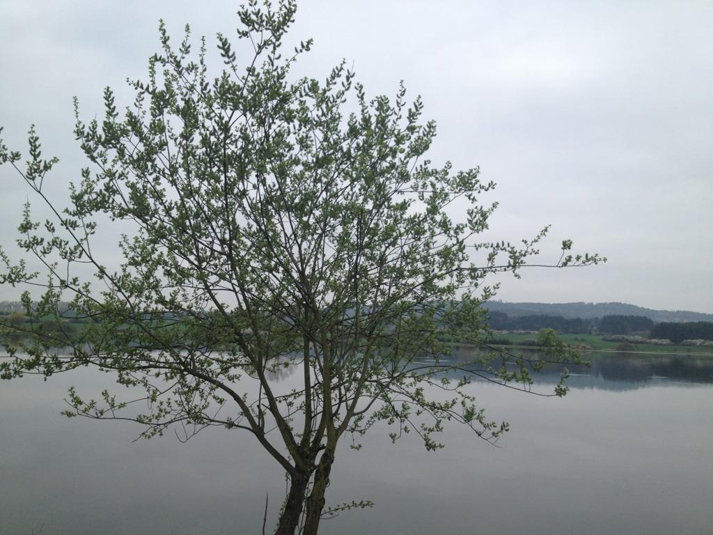 Mnichov (okres Strakonice)