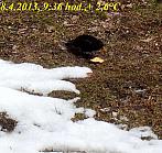 Slavičín, sídliště Vlára