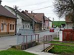 Třibřichy