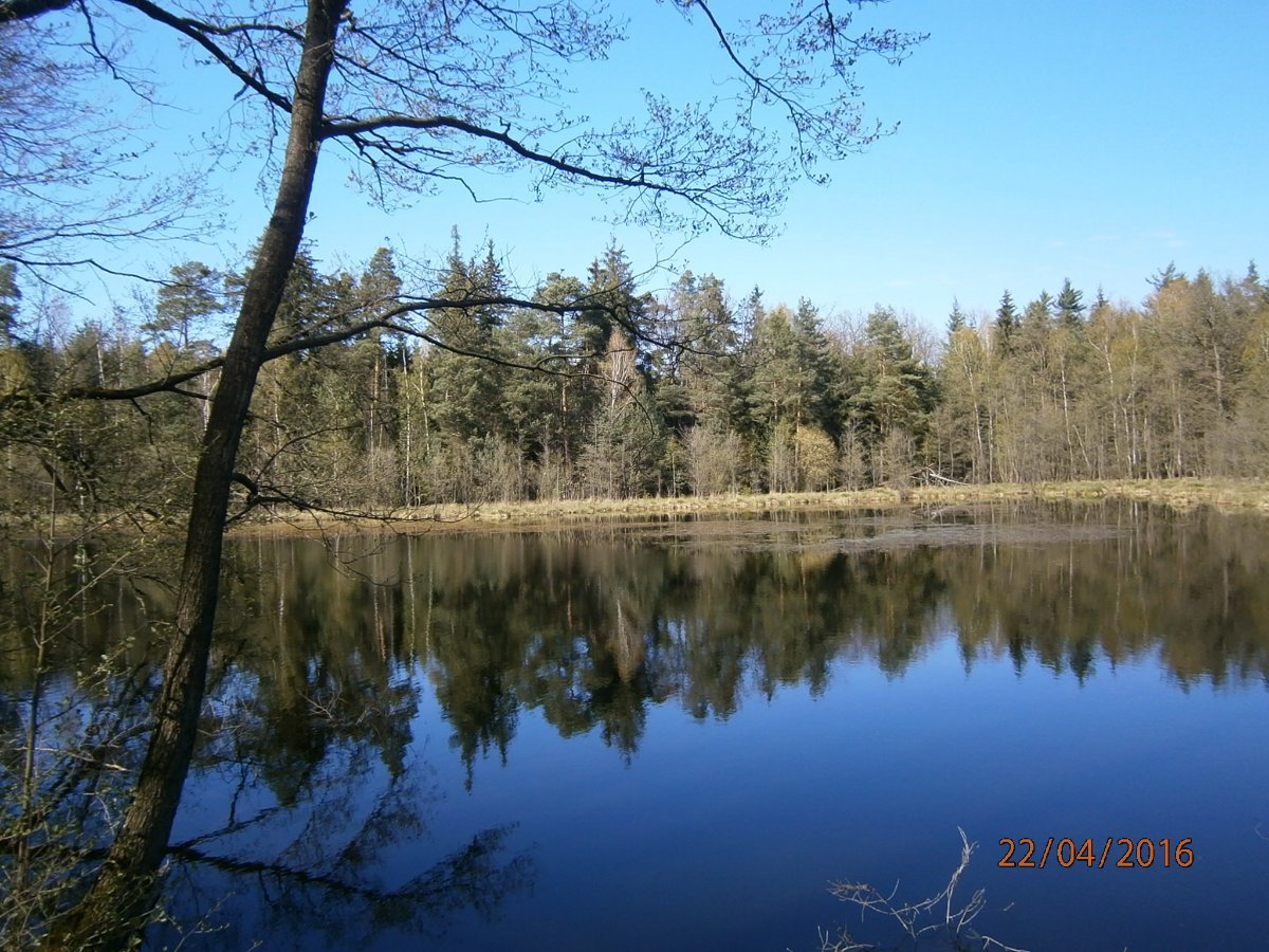 Třebechovice pod Orebem