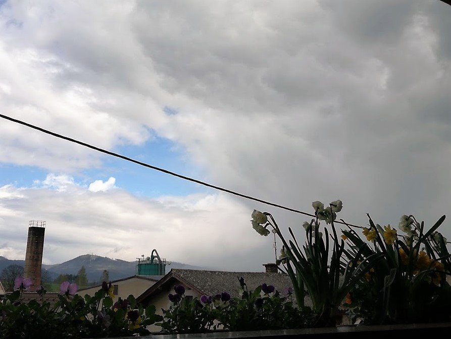 Březová u Broumova