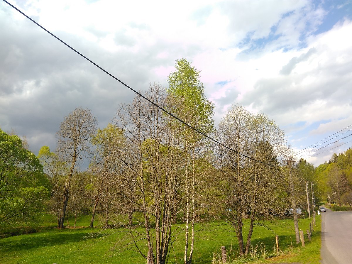 Kyjov u Krásné Lípy