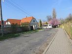 Třibřichy