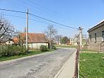 Třibřichy