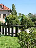 Třibřichy