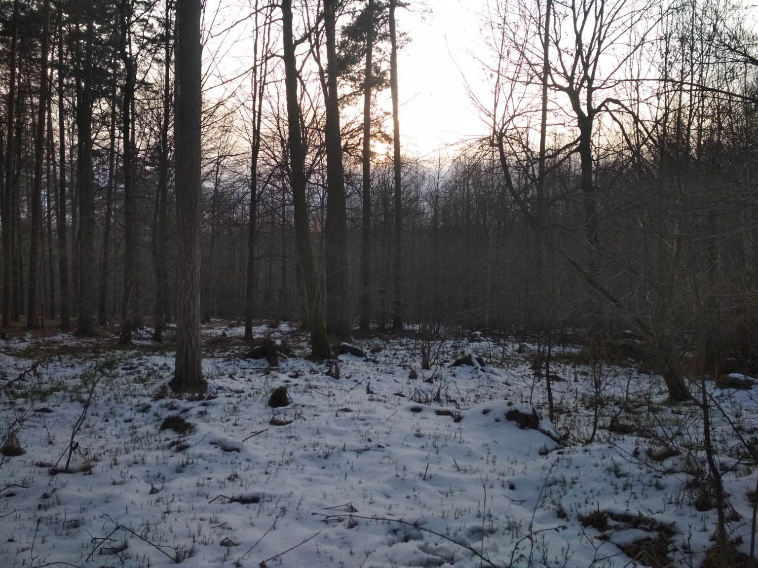 Mosty u Českého Těšína