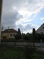 Třibřichy