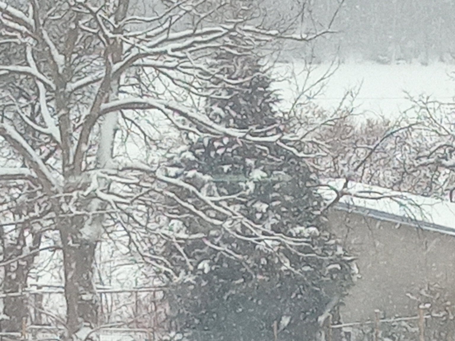 Mokrosuky, Pošumaví