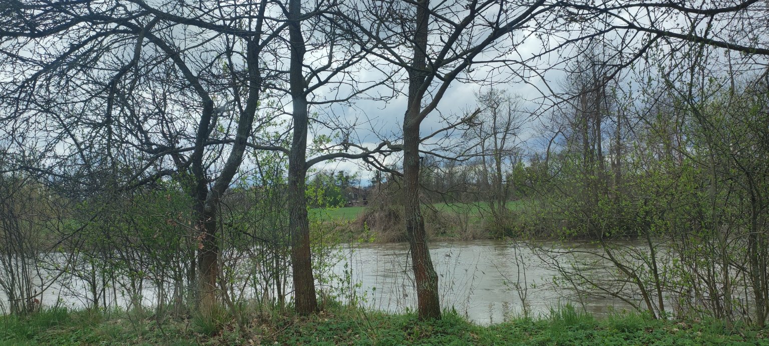 Doubravice-Moravičany