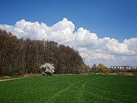 Chomutov