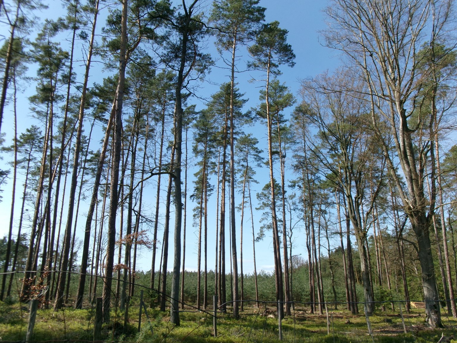 Nový Hradec Králové