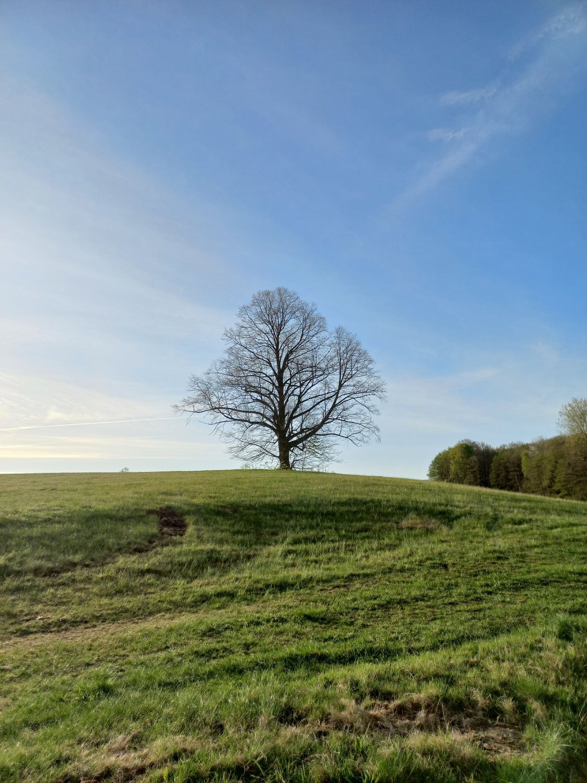 Frýdlant, Údolní rybník