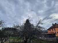 Olešná