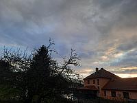 Olešná