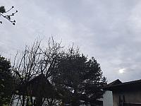 Olešná
