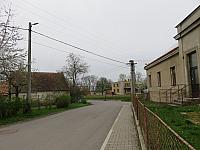 Třibřichy