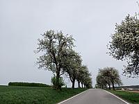 Lukovany