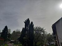 Olešná