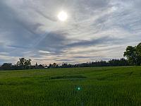 Bohušovice nad Ohří