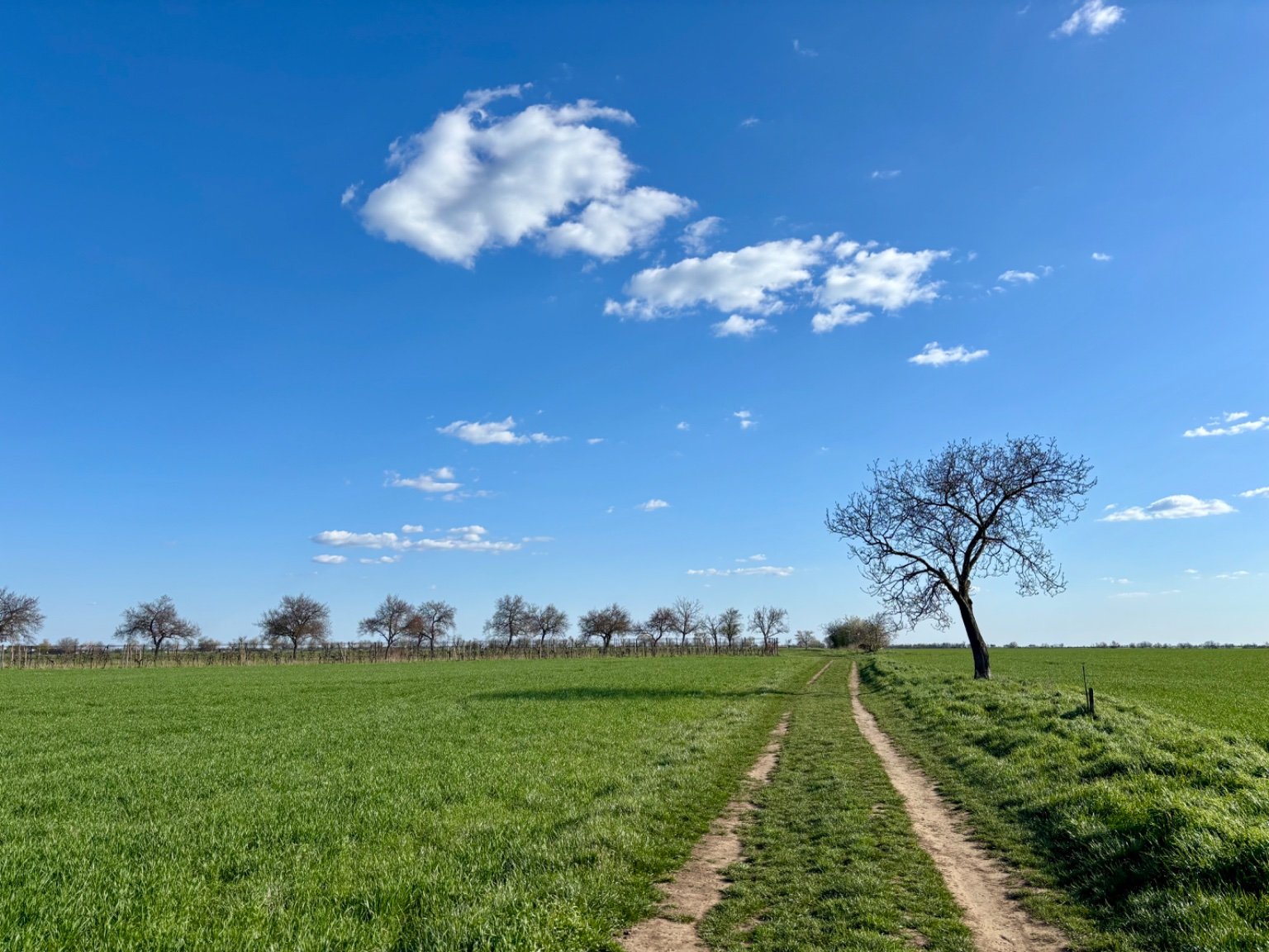 Hrnčiarovce nad Parnou