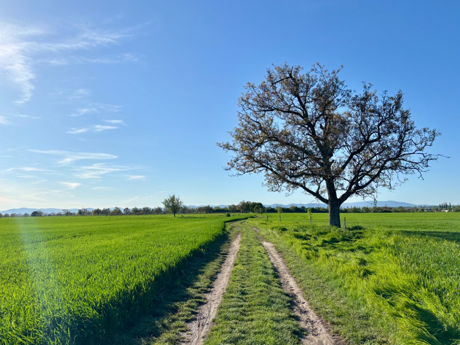 Hrnčiarovce nad Parnou