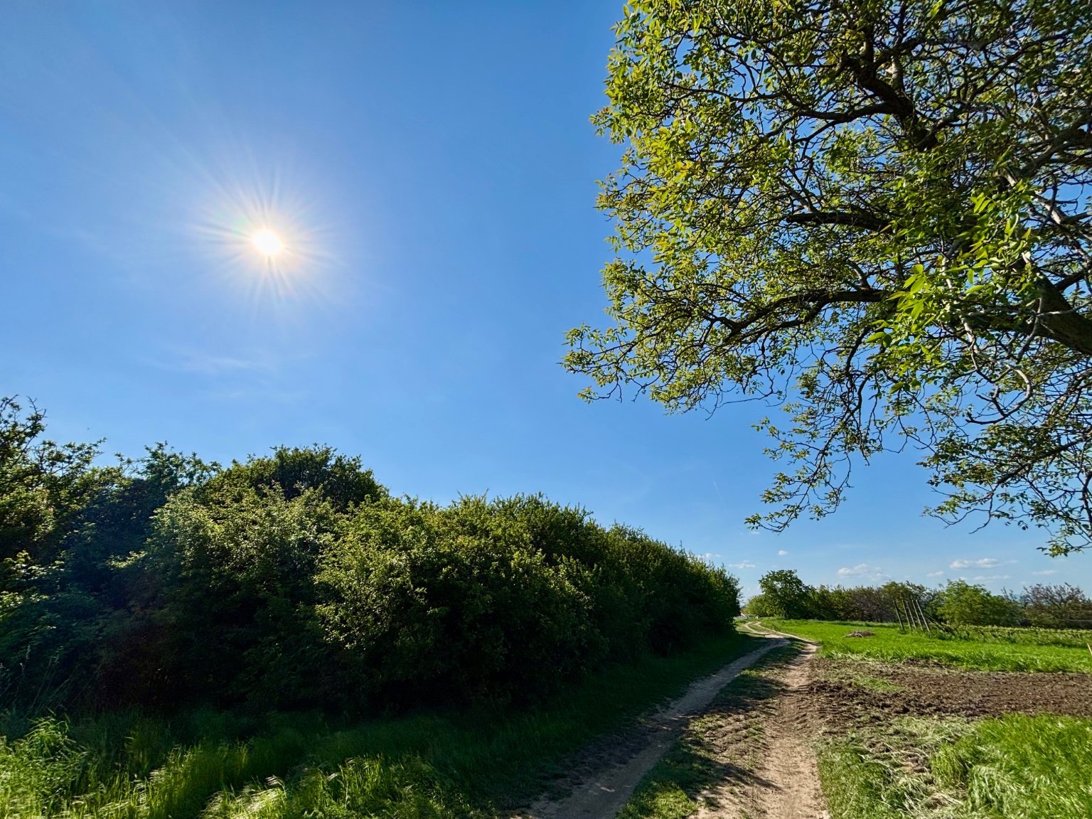 Hrnčiarovce nad Parnou