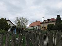 Třibřichy