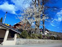 Zborov nad Bystricou