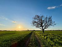 Hrnčiarovce nad Parnou