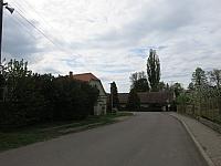 Třibřichy