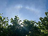 Hrnčiarovce nad Parnou