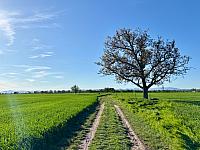 Hrnčiarovce nad Parnou