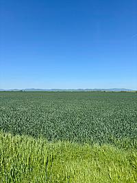 Hrnčiarovce nad Parnou