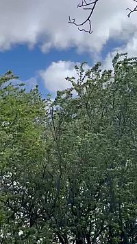 Hrnčiarovce nad Parnou