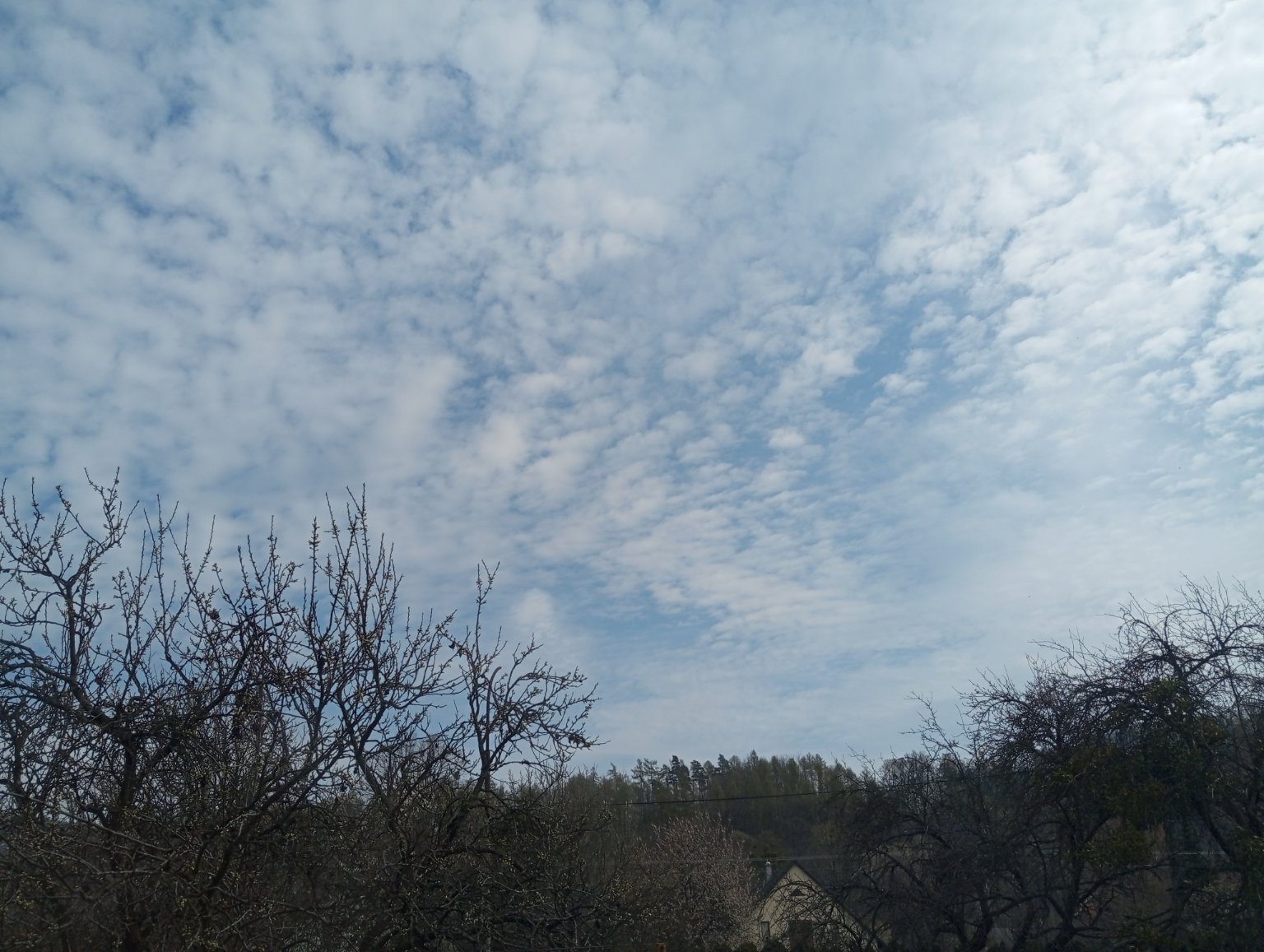 Kopřivnice, Vlčovice