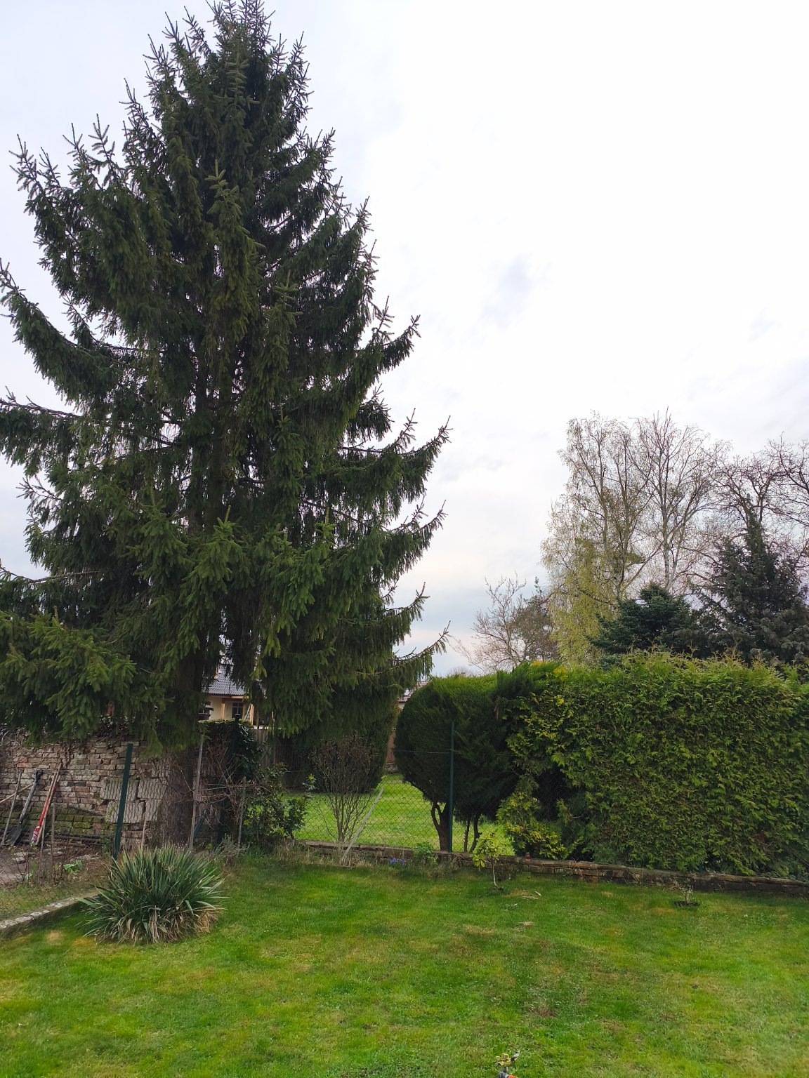 Poděbrady - Velké Zboží