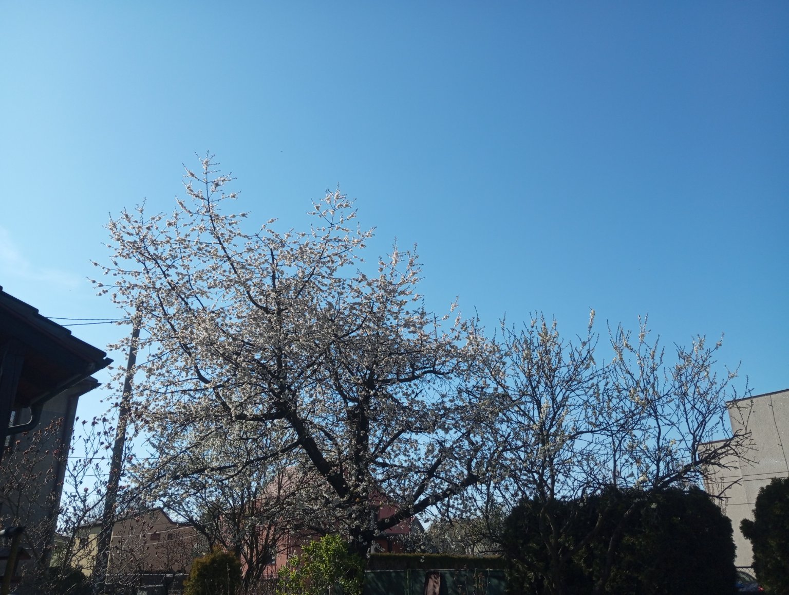 Kopřivnice, Vlčovice