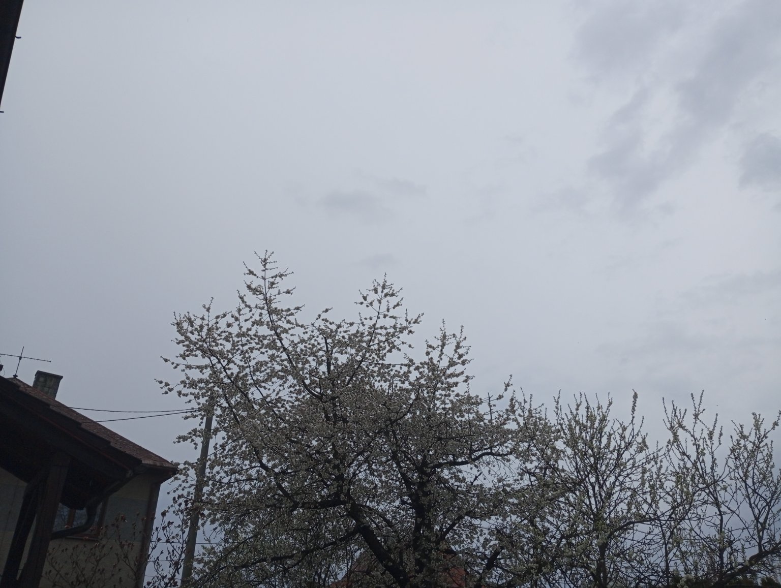 Kopřivnice, Vlčovice